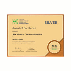 SILVER AWARD