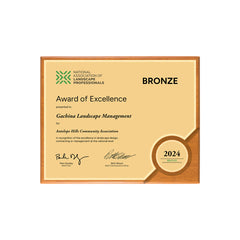 BRONZE AWARD